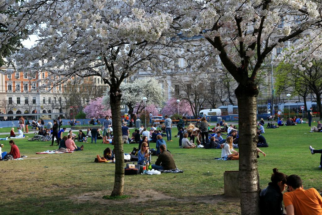 Votivpark Serviced Viena
